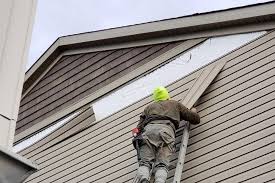 Affordable Siding Repair and Maintenance Services in Chapel Hill, TN